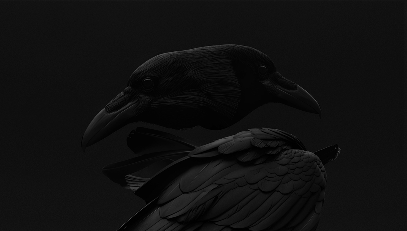 Crow x LANNA with British Murder Boys
