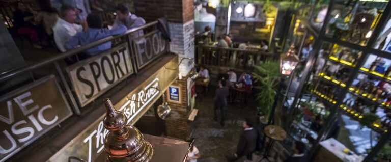 the irish rover 3 768x318